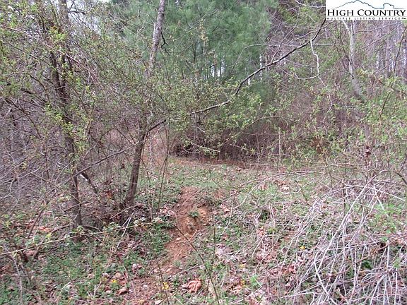 2nd image of TBD NC Hwy 88 W