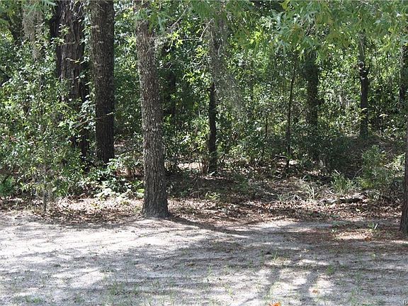 3rd image of 2814 W Blackwood Dr