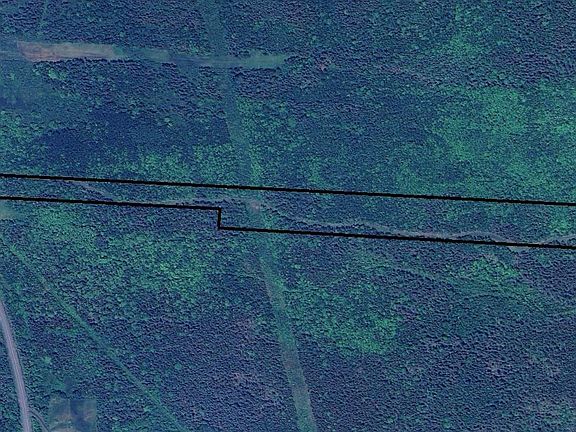 2nd image of E Margaree Rd