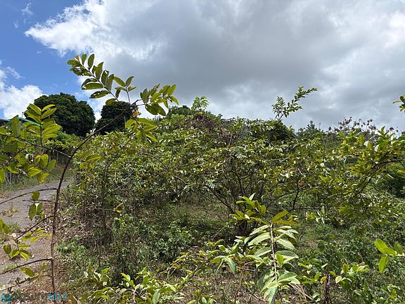 3rd image of Km 1.2 Pr #803