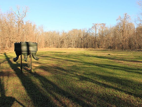 3rd image of 5090 Lake Long Rd