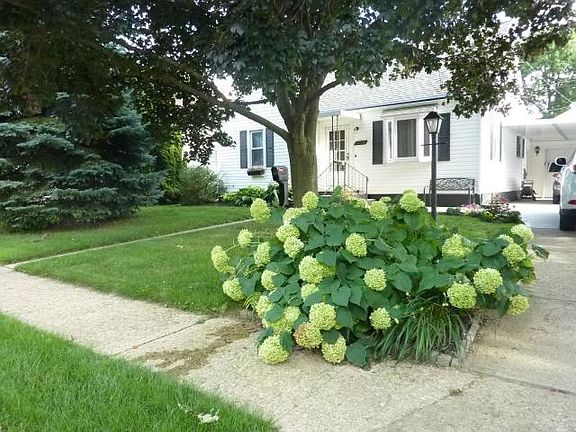 4th image of 1019 Fairbanks Ave