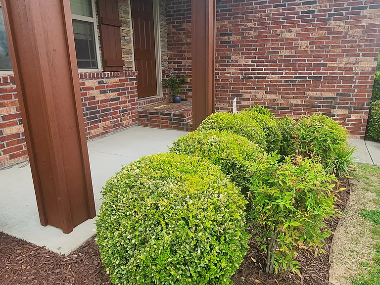 3008 W Marble Dr — Photo 2