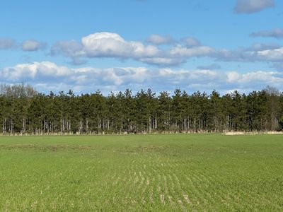2210 E Gajeski Rd, Free soil, MI, 49411