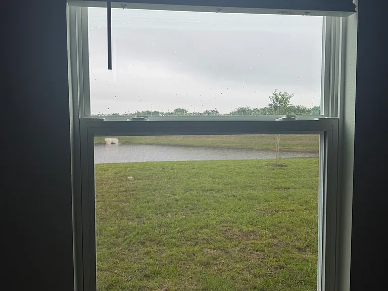 4453 White Ibis Ln — Photo 13