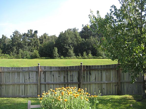 View from Back