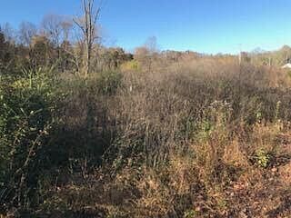 5th image of 195 Pulliam Ln
