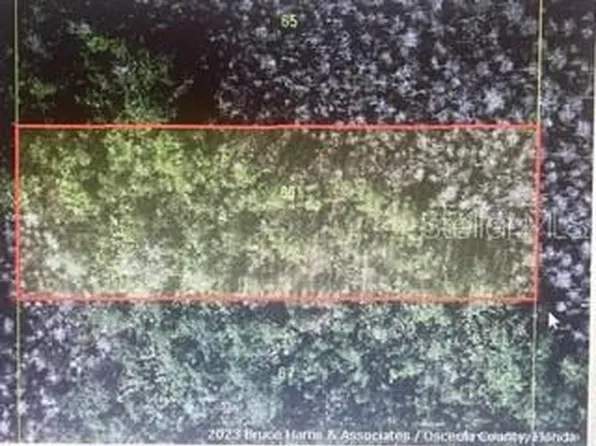 Holopaw Rd, Saint Cloud, FL 34773