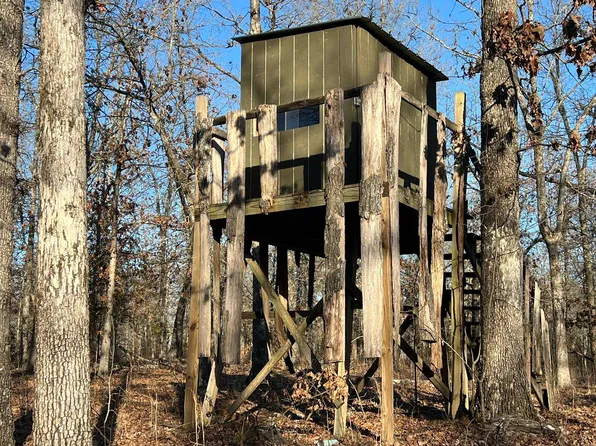 (undisclosed Address), Ash Flat, AR 72513