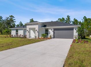 18743 Overton St, Orlando, FL 32833