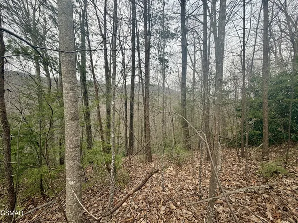 6 Thissa Way Lot 6, Gatlinburg, TN 37738