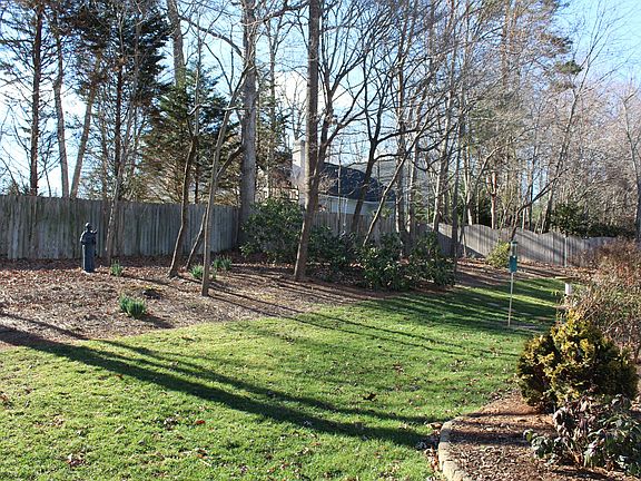 Back Yard w/azaleas,camellia