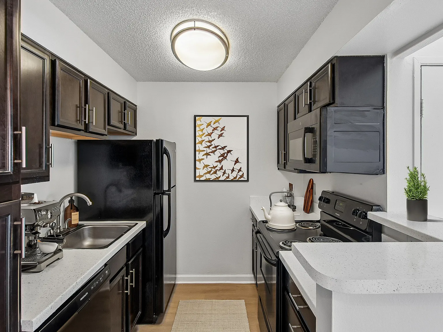 ReNew Pinehurst — Photo 2