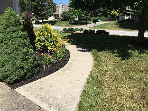 5th image of 4101 Amy Brooke Cir