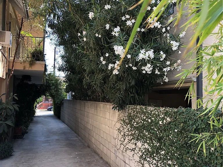 611 E Maple St #3 — Photo 31