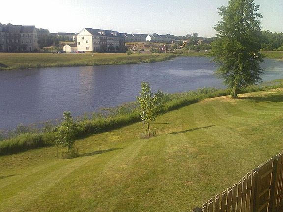 The View from Back Deck