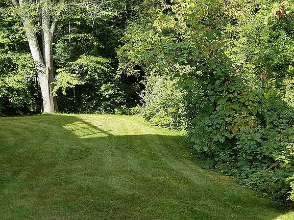 Back yard