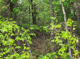 Strawberry Valley Rd, Ash Flat, AR 72513