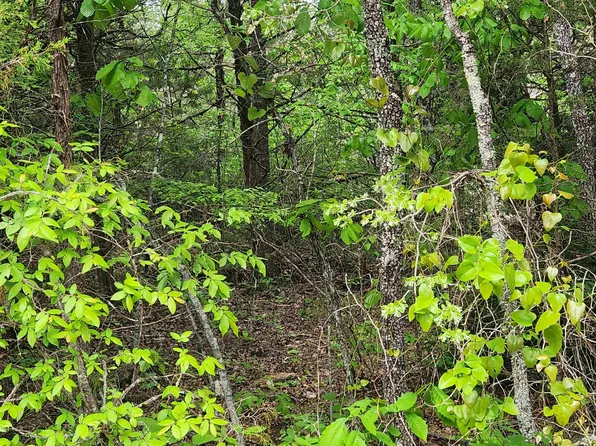 Strawberry Valley Rd, Ash Flat, AR 72513