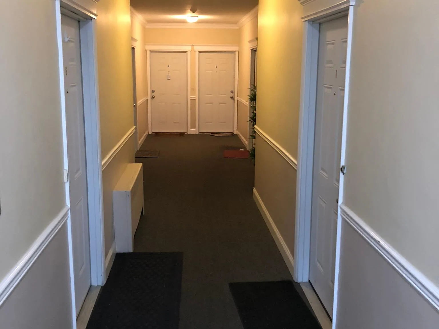 2 bed, 1000 sqft, $2,550 — Photo 3