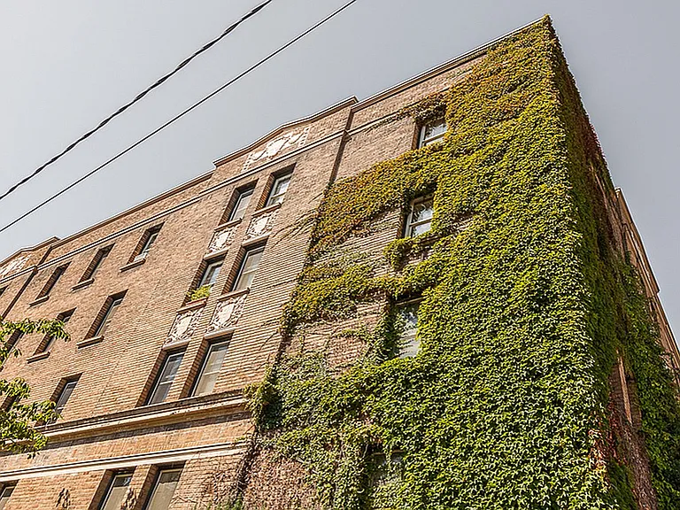Whitworth — Photo 18