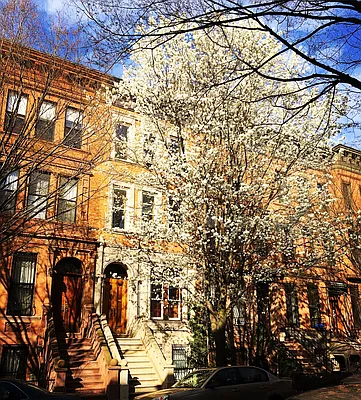 Rented by Owner | media 39