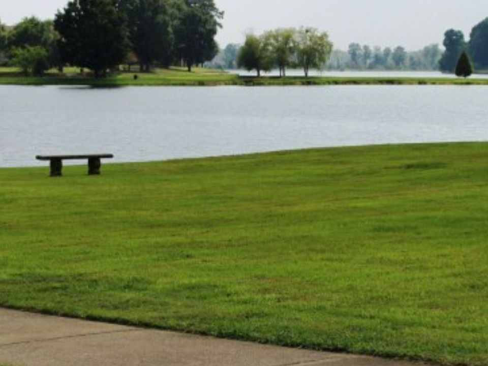 Beautiful Lady Ann Lake