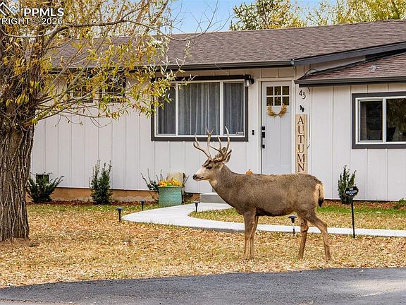 4th image of 43 S Valley Rd