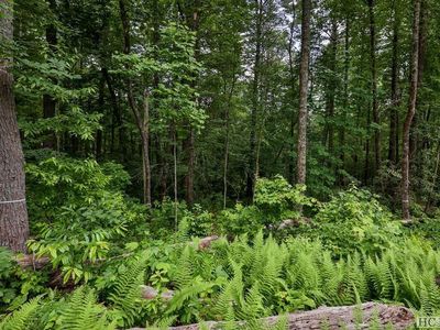 23 Flagstone Rd, Cashiers, NC, 28717