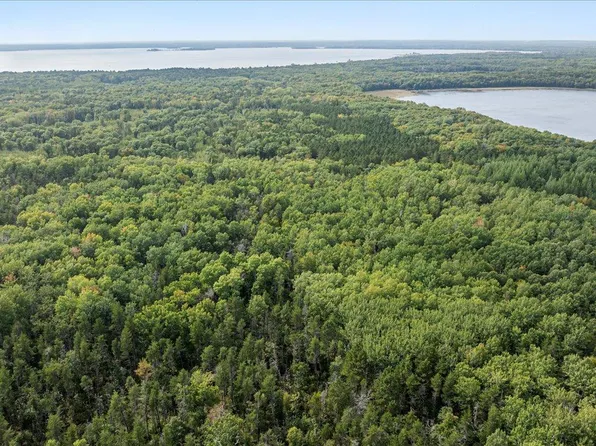 PARCEL N Horseshoe Lake Rd #F, Merrifield, MN 56465