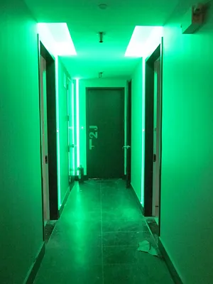 Rented by Full Time Management | media 150