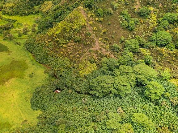 5th image of Kuhio Hwy