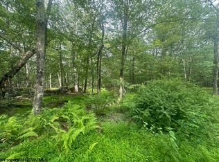 88 Goldenrod Dr, Terra Alta, WV
