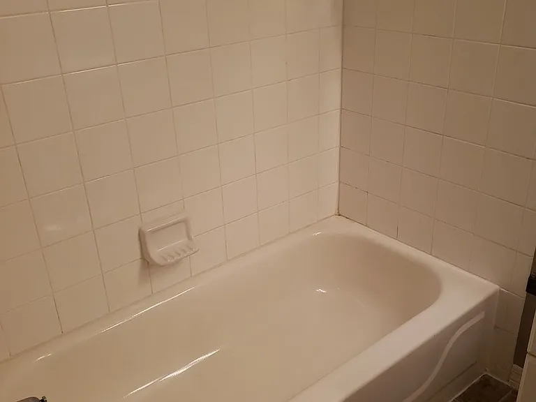 1717 County Road 220 #3204 — Photo 15