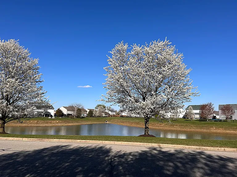 3190 Shadow Creek Blvd — Photo 5