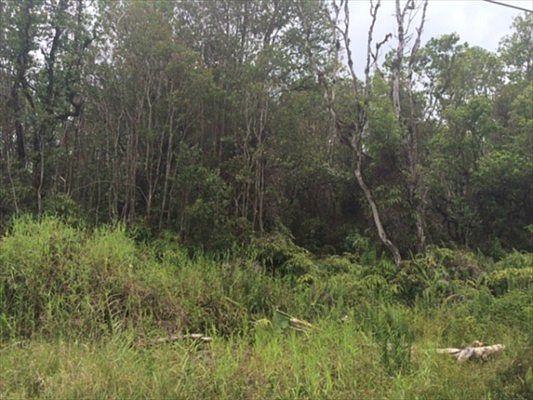4th image of Road 5 Lot 3806