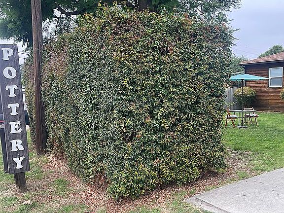 Front driveway entrance