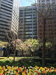 Be@William at 90 William Street in Financial District