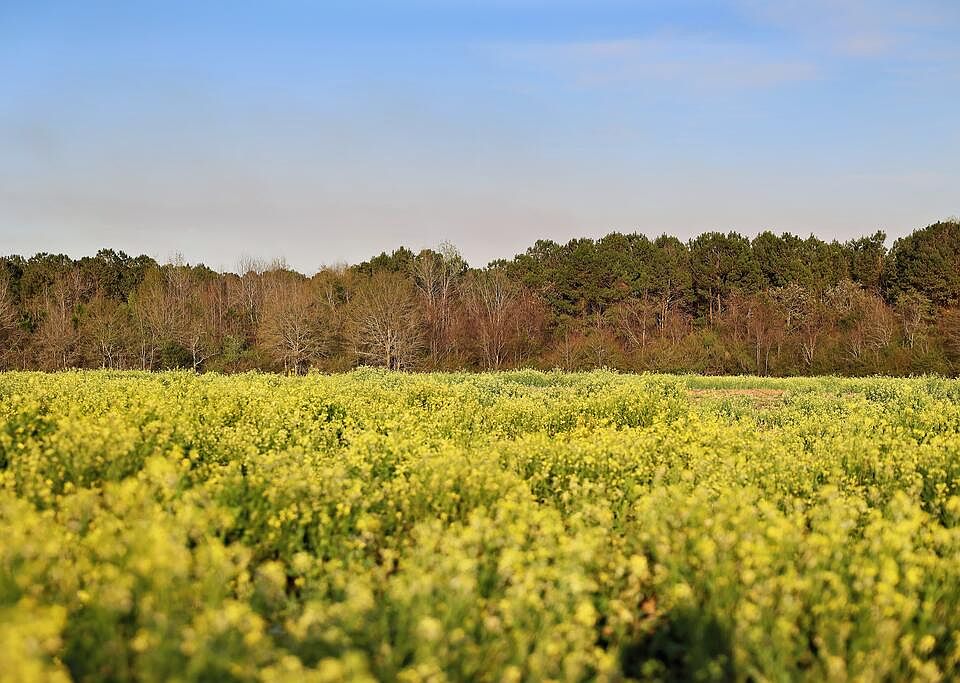 1st image of 0 Union Hill Rd