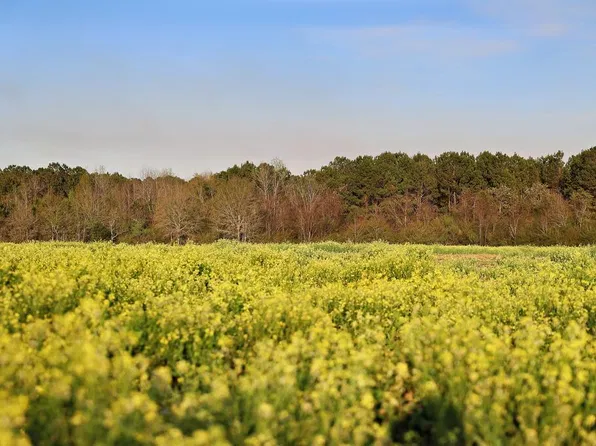 0 Union Hill Rd, Cairo, GA 39828