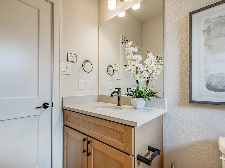6514 Old Olive Tree Dr — Photo 12
