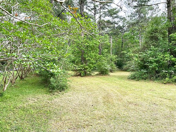 2nd image of Cathy Dr