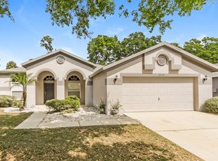 2514 Allwood Ave, Valrico, FL 33596