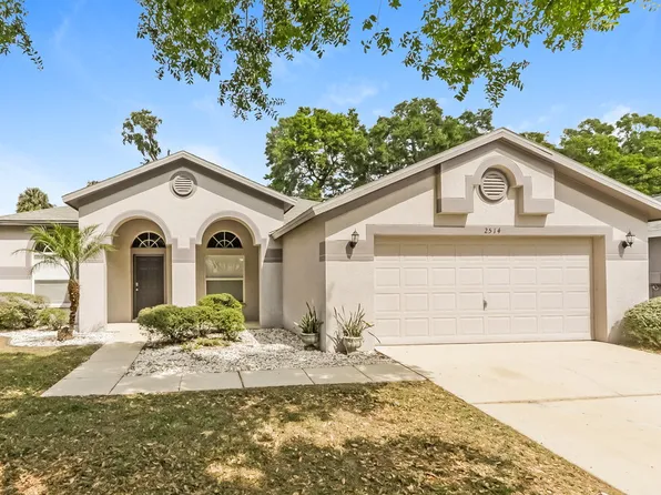 2514 Allwood Ave, Valrico, FL 33596