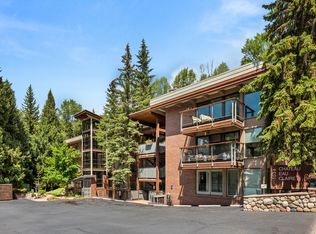 1034 E Cooper Ave #16, Aspen, CO 81611