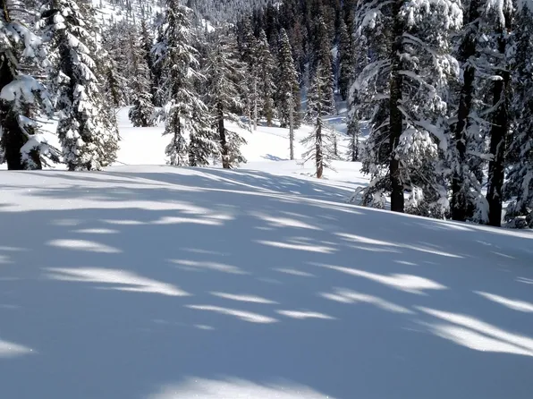 2090 Chalet Rd #2, Alpine Meadows, CA 96146
