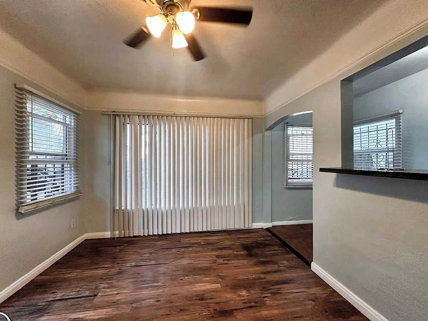 Chestnut LB — Photo 2