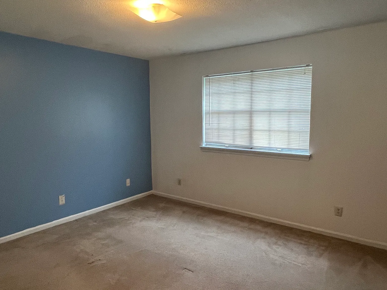 2 bed, 1.5 bath, 1000 sqft, $1,100 — Photo 3