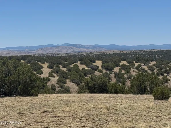 Lot #9 Big Six Ranches -- #9, Concho, AZ 85924