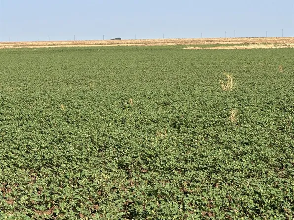 0 County Road 3100, Slaton, TX 79364
